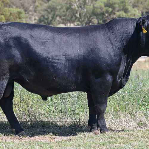 Lollipop chainsaw porno mods